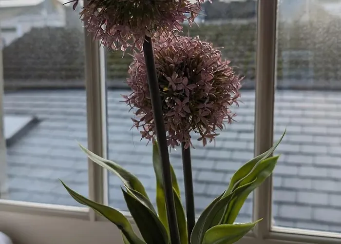 The Nest - One Bed With Sea Views דירה סנט ברלד