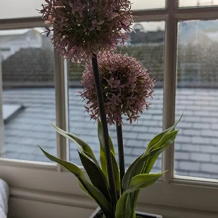 The Nest - One Bed With Sea Views 公寓 圣布雷拉德